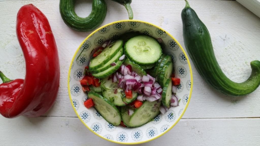 Gurken-Paprika-Salat – Pflanzliche Ernährung
