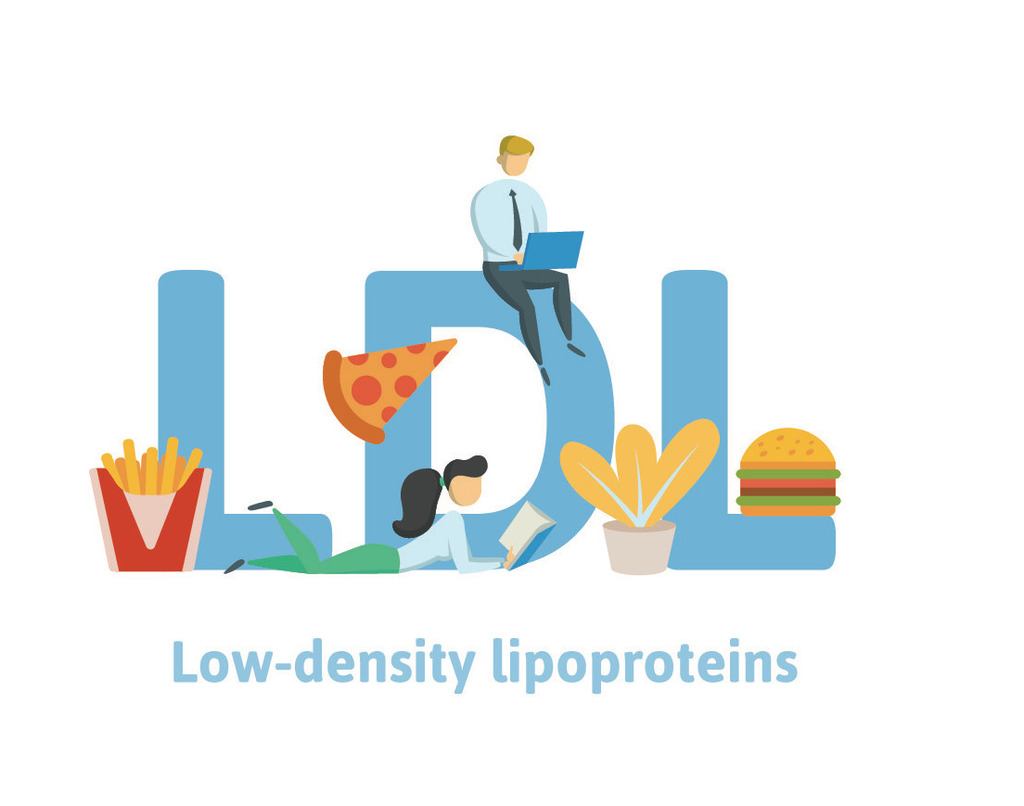 LDL wird auch "schlechtes" Cholesterin genannt, weil es die Arterienverkalkung fördert. Der LDL-Spiegel steigt durch eine Ernährung, die reich an tierischen Lebensmitteln ist.